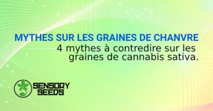 MYTHES SUR LES GRAINES DE CHANVRE SATIVA