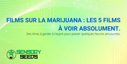 Top 5 des films sur le cannabis