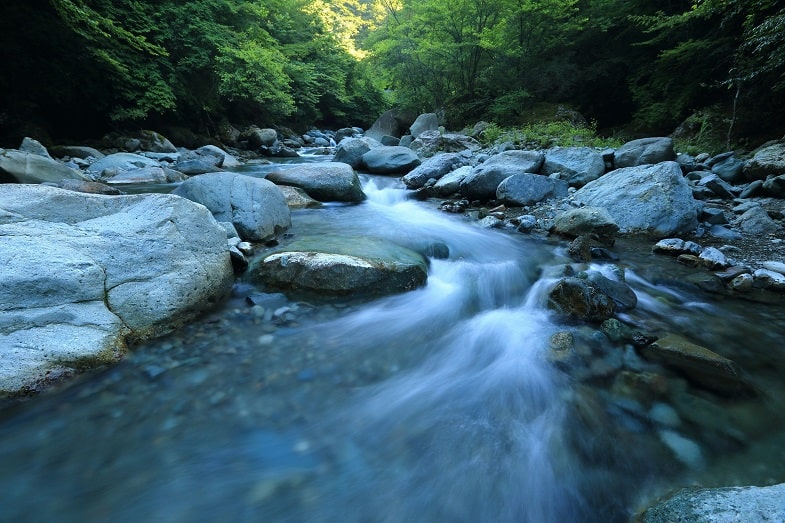 Le rôle de l'eau