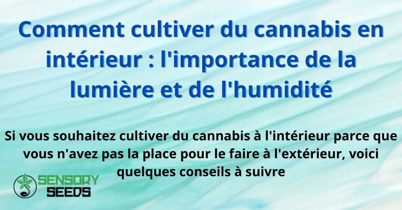 Comment cultiver du cannabis en intérieur