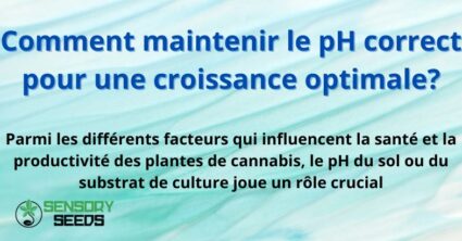 Comment maintenir le pH correct pour une croissance optimale?