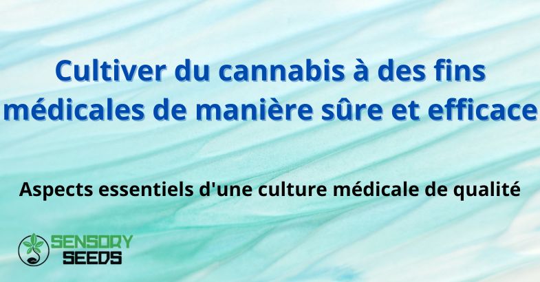 Cultiver du cannabis à des fins médicales de manière sûre et efficace