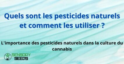 Quels sont les pesticides naturels et comment les utiliser ?